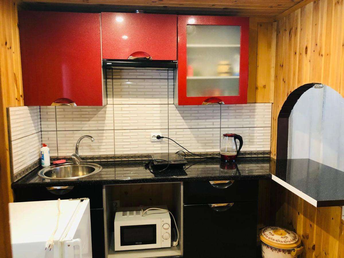 У Віти Номер 5 Apartment Synevyrsʼka Polyana Exterior foto